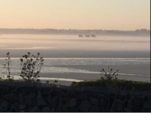 Capture d e cran 2015 04 14 00.59 - Eugenol