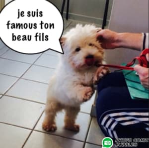 Capture d e cran 2015 04 29 08.30 - Eugenol