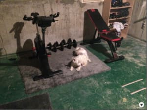 Capture d e cran 2015 10 18 10.48 - Eugenol