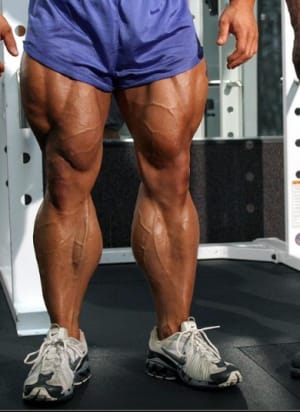 Capture d e cran 2015 12 27 13.45 - Eugenol