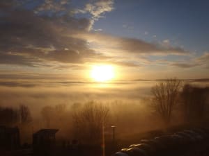 Dsc00402   copie wg3ptc - Eugenol