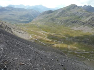 Dscf0264 rqgvf3 - Eugenol