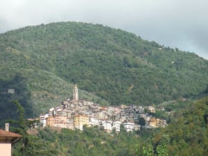 Dscf0947 euw0zb - Eugenol