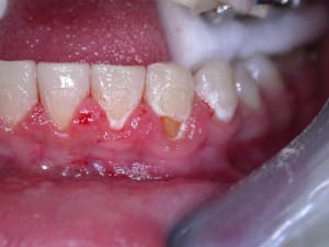 Dscn1341 pxwkc1 - Eugenol