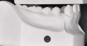 Dsc 0001 cycf12 - Eugenol