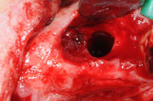 Dsc 0004 udlcqt - Eugenol