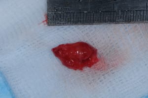 Dsc 0857 gmhyjs - Eugenol