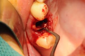 Dsc 2556 xophhg - Eugenol