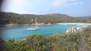 Dsc 3040 ribju8 - Eugenol