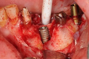 Dsc 5635 eb4zpu - Eugenol