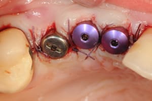 Dsc 6041 cmfx0j - Eugenol