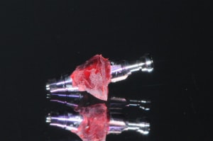 Dsc 7399 ljvrkq - Eugenol