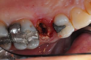 Dsc 7934 d0hduh - Eugenol