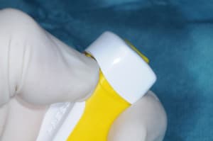 Dsc 9271 u86v4h - Eugenol