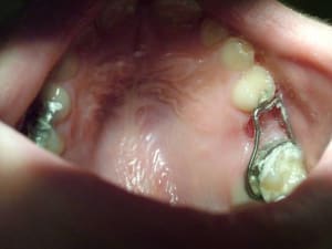 Dscf0538 vgoriy - Eugenol