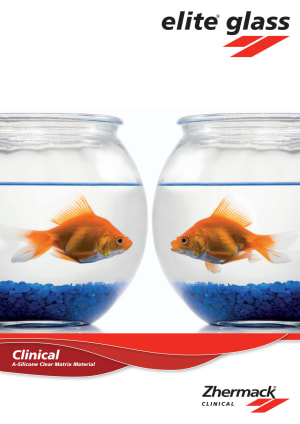 Elite glass brochure en  2  g1mgyh - Eugenol