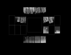 F1  umdhxk - Eugenol