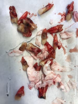 F4db297b efe6 40f8 ab41 62dd3fd52b9f mfe0m3 - Eugenol