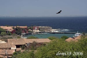 Gorée3 l5svzs - Eugenol