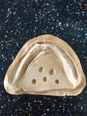 Img 0286 ovhseq - Eugenol