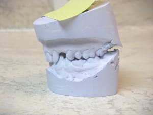 Imgp0004 s9zrkq - Eugenol