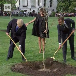 Img 0301 ihilt9 - Eugenol