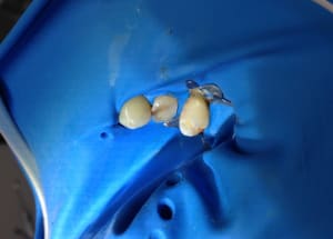 Img 0431 h6ydmr - Eugenol