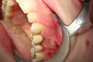 Img 0727 xqdy41 - Eugenol