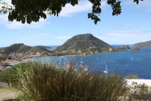 Img 1667 lxqfvc - Eugenol