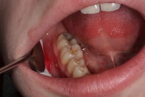 Img 1743 kktbwg - Eugenol