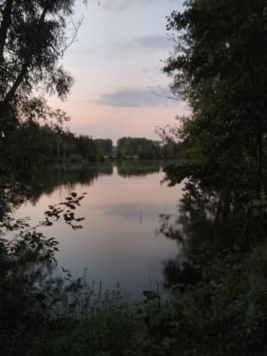 Img 20180726 215937 fc3mhz - Eugenol