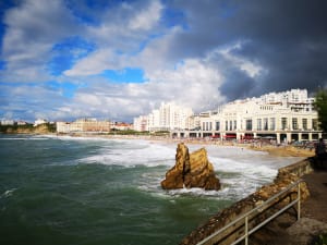 Img 20180813 185452 bb1sbm - Eugenol