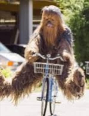 Img 20180830 181832 gaar0s - Eugenol