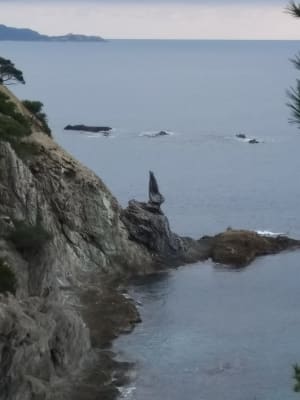 Img 20181229 135129 usaocn - Eugenol