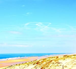 Img 20190523 150229 ljkzs2 - Eugenol