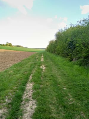 Img 20200412 192203 bvxf17 - Eugenol