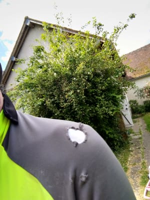 Img 20200524 114922 la5etz - Eugenol