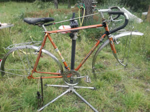 Img 20200606 195816 og0cvs - Eugenol