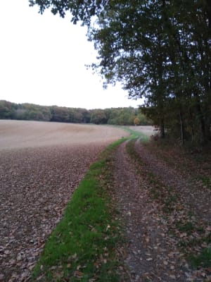 Img 20201107 162310 s0c4eb - Eugenol