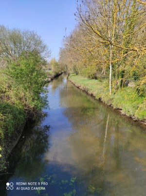 Img 20210421 103433 yjm9bp - Eugenol