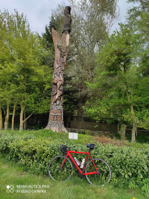 Img 20210501 125344 qa5rkl - Eugenol