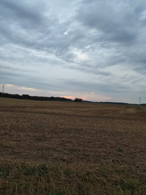 Img 20210908 194852 ubmuw5 - Eugenol