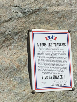 Img 2380 f0ae7x - Eugenol