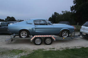 Img 2805 jc5mje - Eugenol