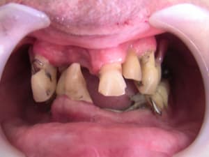 Img 3509 gsmoa0 - Eugenol