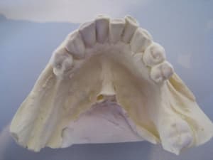Img 9511 vvcyop - Eugenol