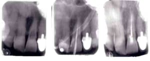Image1 u8nilj - Eugenol