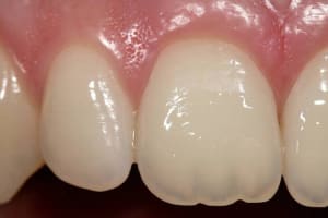 Image1 vkkbyu - Eugenol