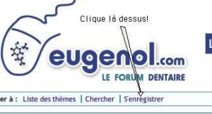 Image 1 bgap2b - Eugenol