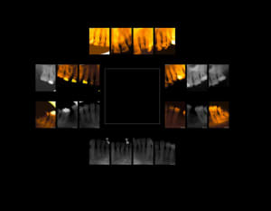 Katya dg7hxj - Eugenol